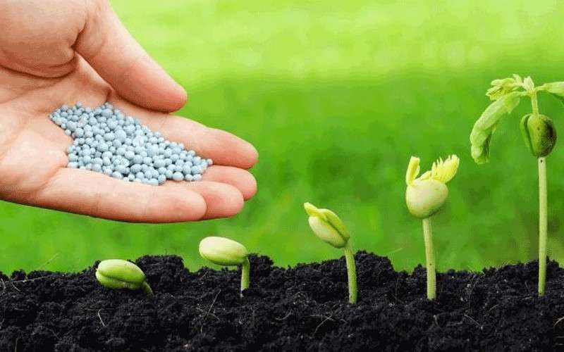 Bảng giá phân hữu cơ sinh học mới nhất 2022